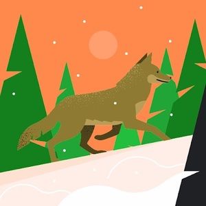 Meet your Posher, Johanna